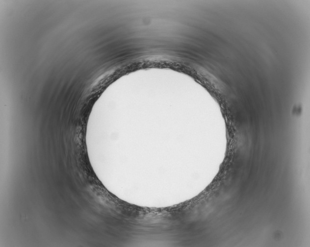 X0000091300824200708101046