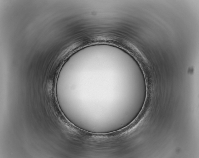 X0000091300825200708101046