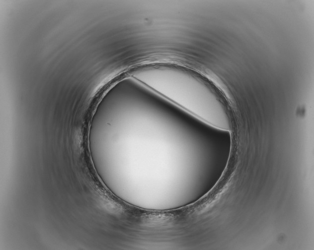 X0000091300826200708101046