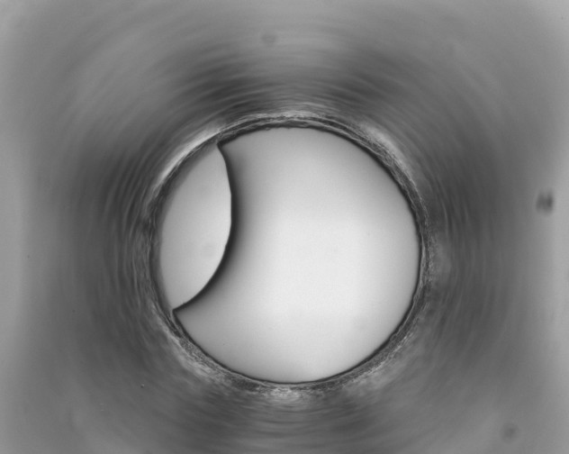 X0000091300827200708101046