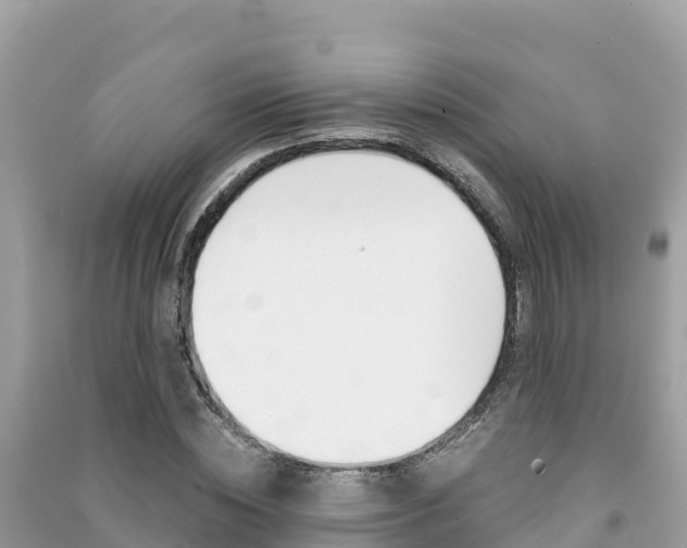 X0000091300828200708101046