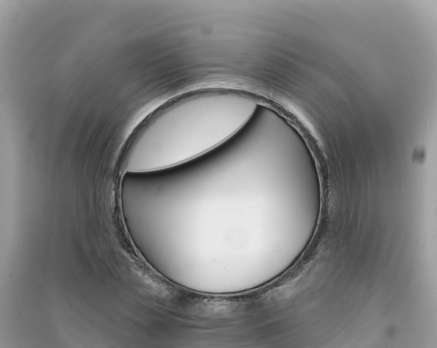 X0000091300829200708101046