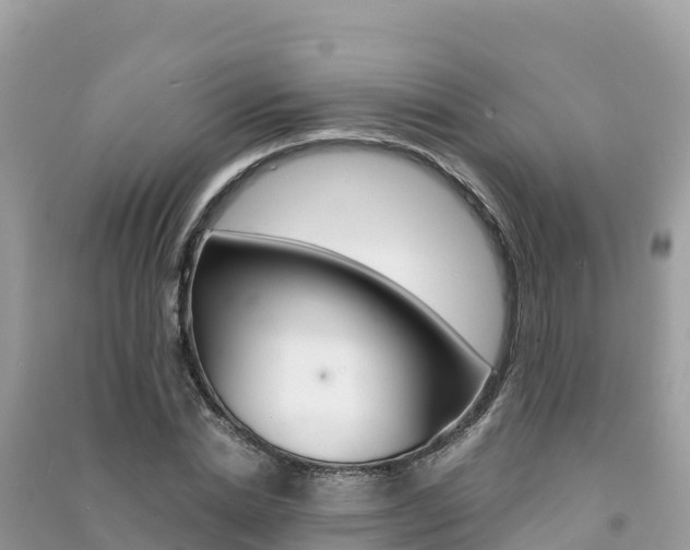 X0000091300830200708101046