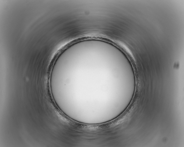 X0000091300831200708101046