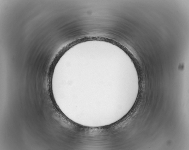 X0000091300832200708101046