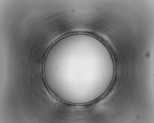 X0000091300833200708101046