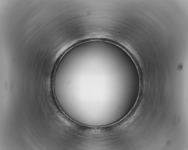 X0000091300834200708101046