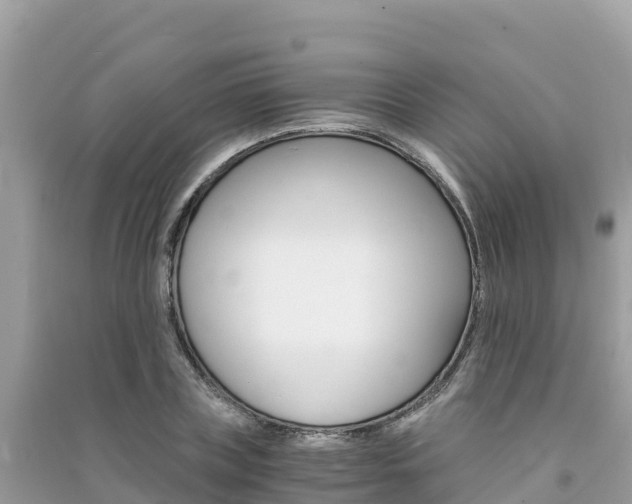 X0000091300835200708101046