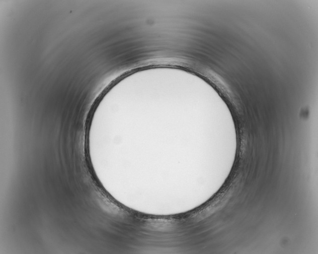 X0000091300836200708101046