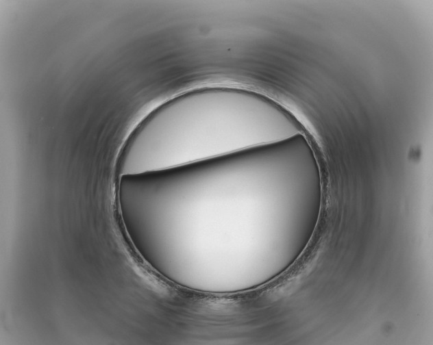 X0000091300837200708101046