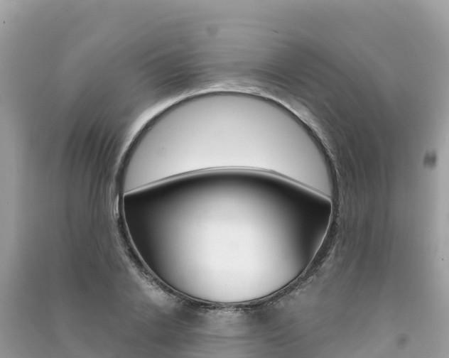 X0000091300838200708101046