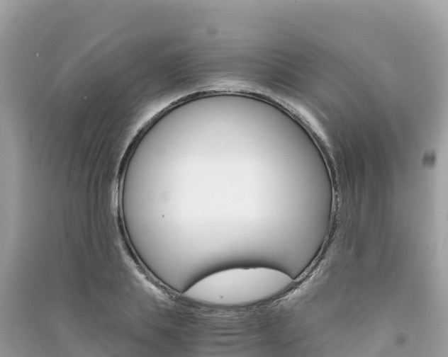 X0000091300839200708101046