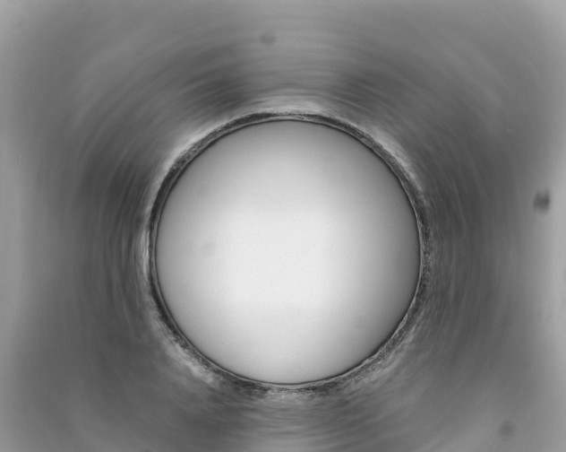 X0000091300840200708101046