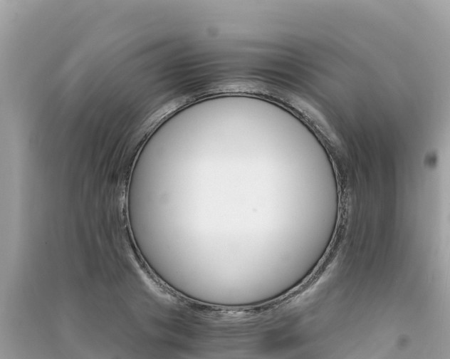 X0000091300841200708101046