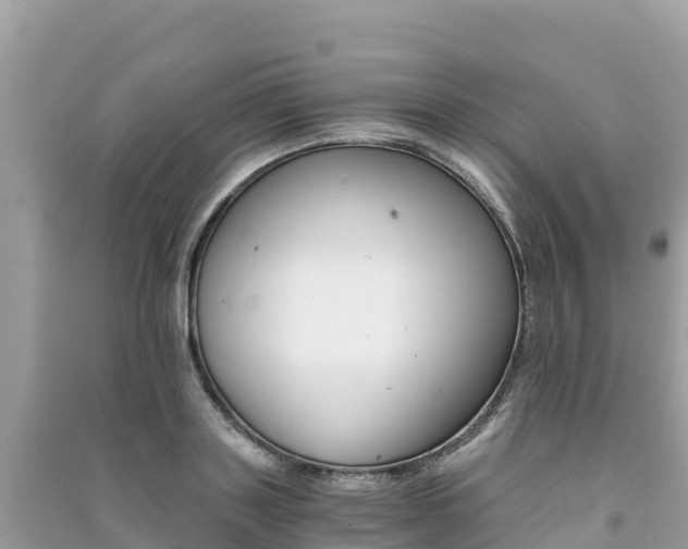X0000091300843200708101046