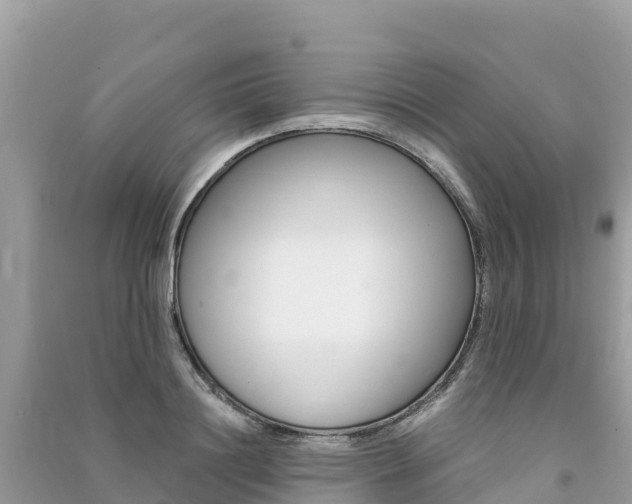 X0000091300844200708101046