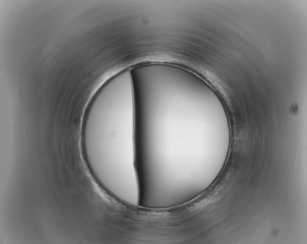 X0000091300845200708101046