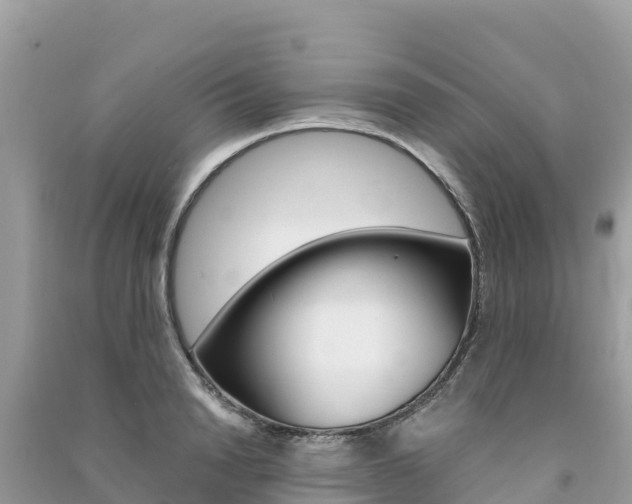 X0000091300846200708101046