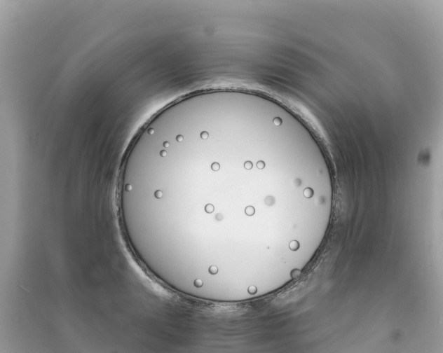 X0000091300847200708101046