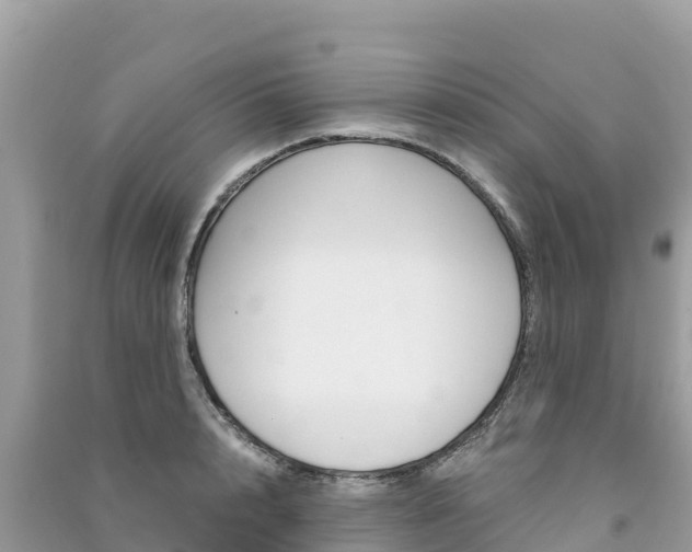 X0000091300848200708101046