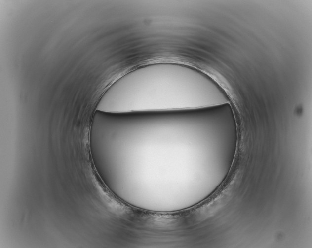 X0000091300849200708101046