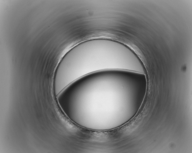 X0000091300850200708101046