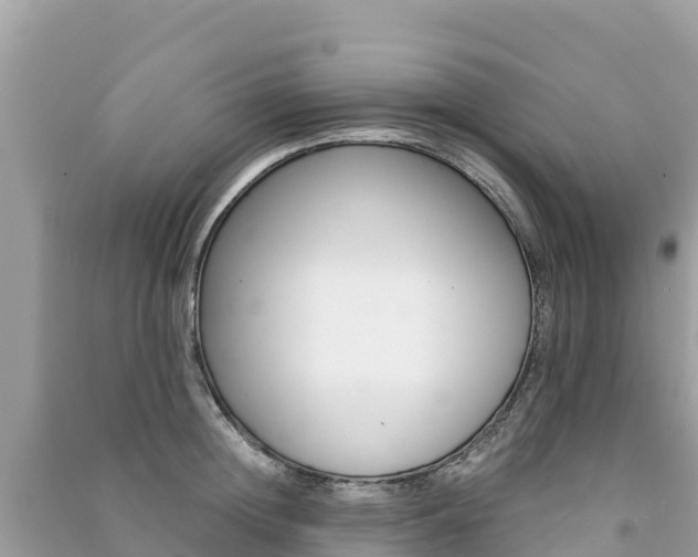 X0000091300852200708101046