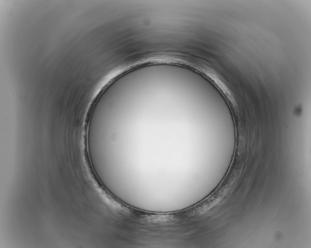 X0000091300853200708101046