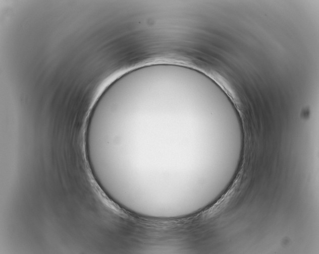 X0000091300854200708101046