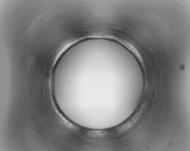 X0000091300855200708101046