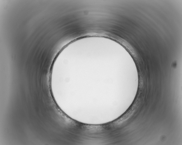 X0000091300856200708101046