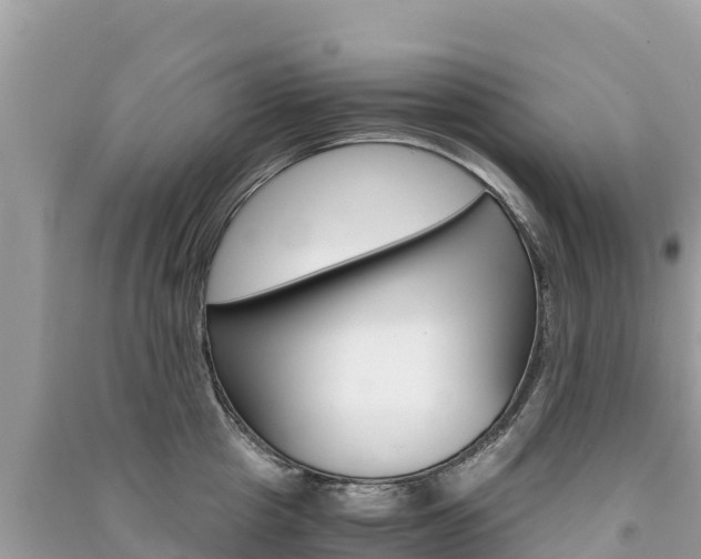 X0000091300857200708101046