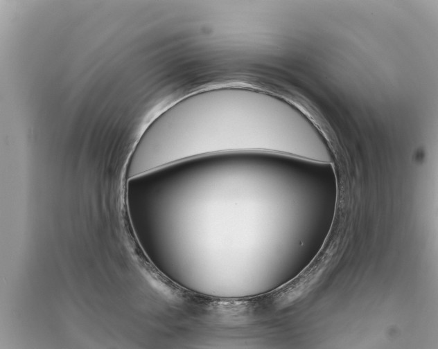X0000091300858200708101046