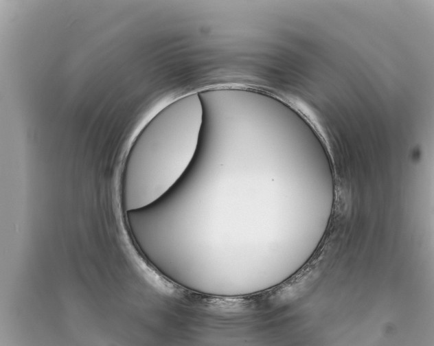 X0000091300859200708101046