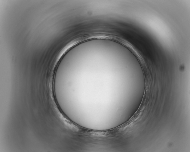 X0000091300861200708101046