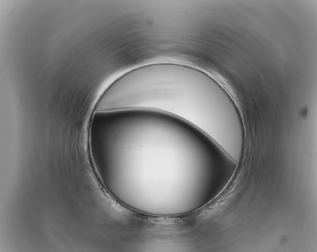 X0000091300862200708101046
