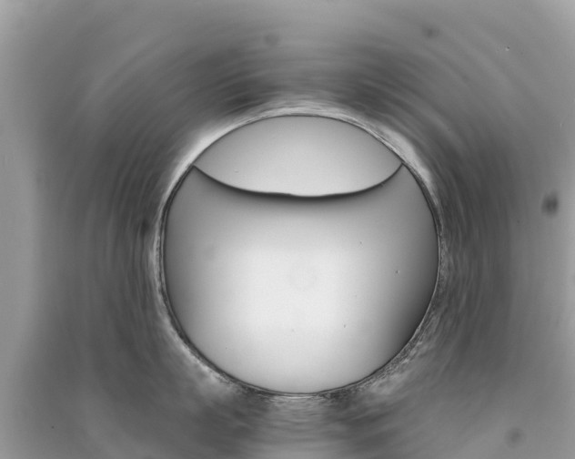 X0000091300863200708101046
