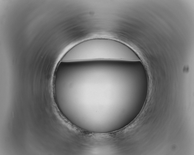 X0000091300864200708101046