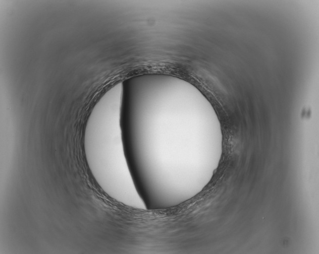X0000091300865200708101046