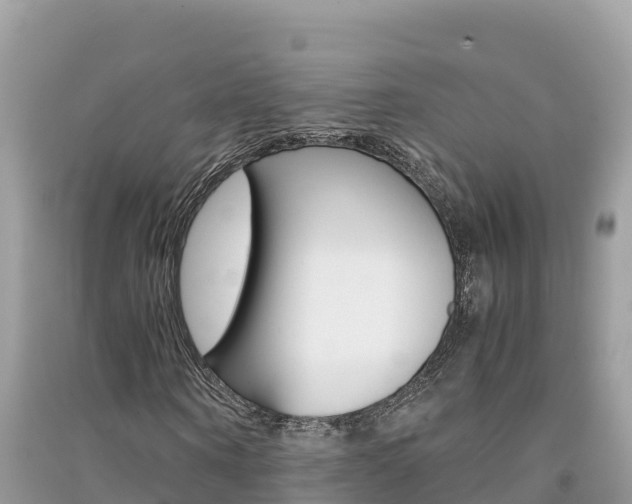 X0000091300866200708101046