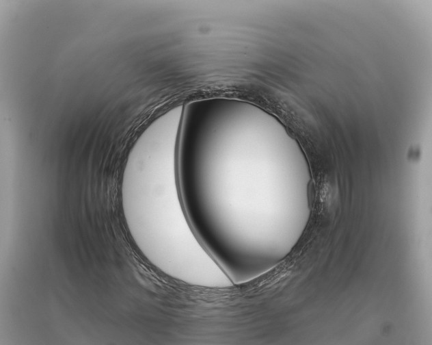 X0000091300868200708101045