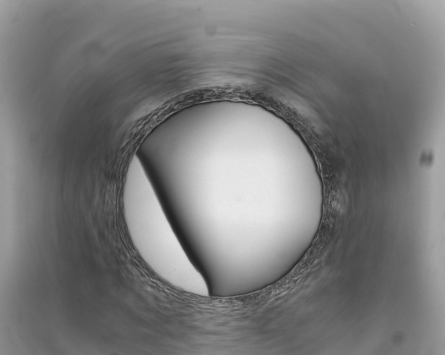 X0000091300869200708101045