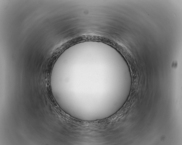 X0000091300870200708101045