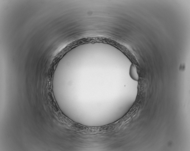X0000091300871200708101045