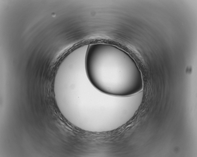 X0000091300872200708101045