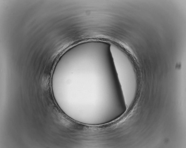 X0000091300873200708101045