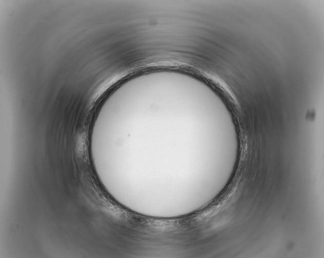 X0000091300874200708101045