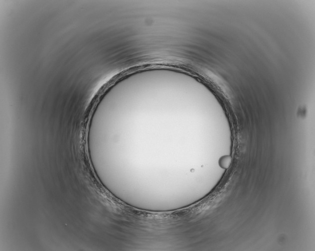 X0000091300875200708101045