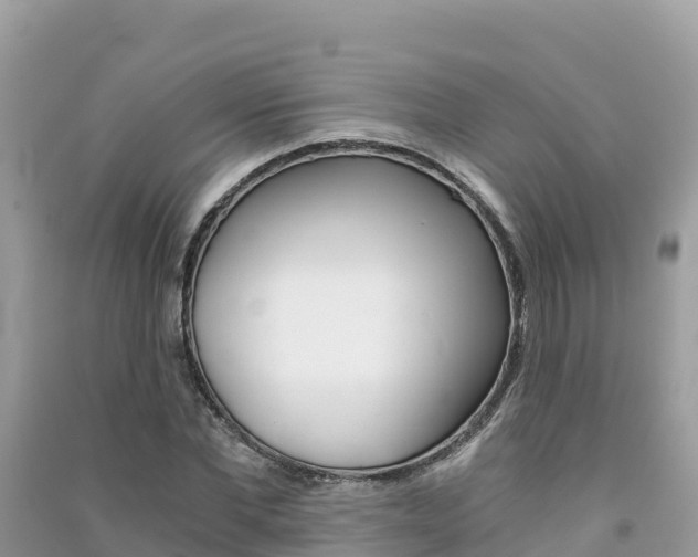 X0000091300877200708101045