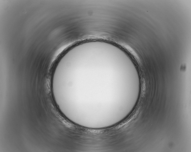 X0000091300878200708101045